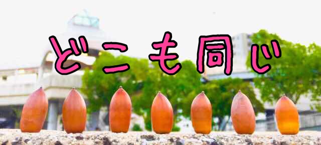 人工芝のメーカーはどんぐりの背比べ