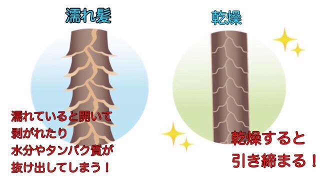 ドライヤー おすすめ 風速
