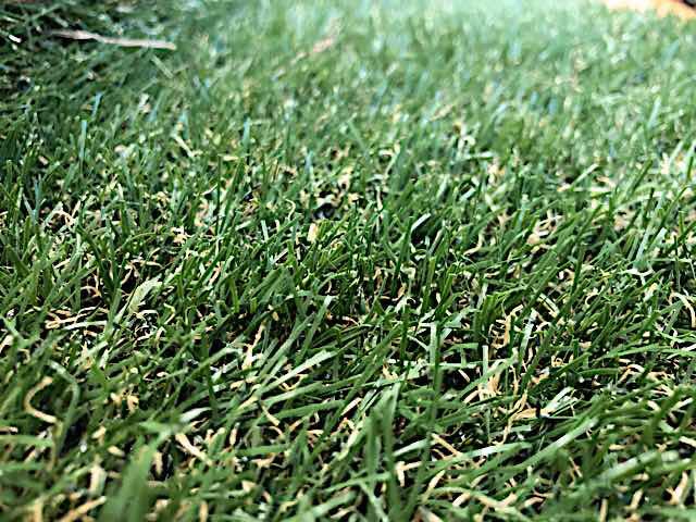 アイリスオーヤマの防草シート付人工芝