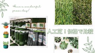 人工芝を値段や庭に貼った時の価格で比較!