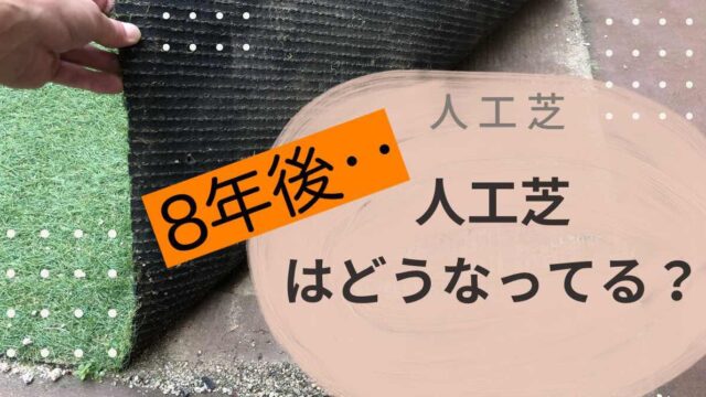 人工芝を値段 価格 別で徹底比較 費用やデメリット Goodthing