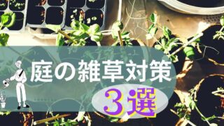 庭の雑草対策3選