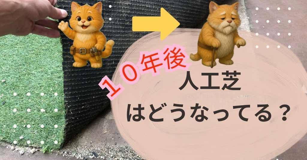 人工芝の10年後を写真付きで公開!耐用年数や寿命は伸びるのか?