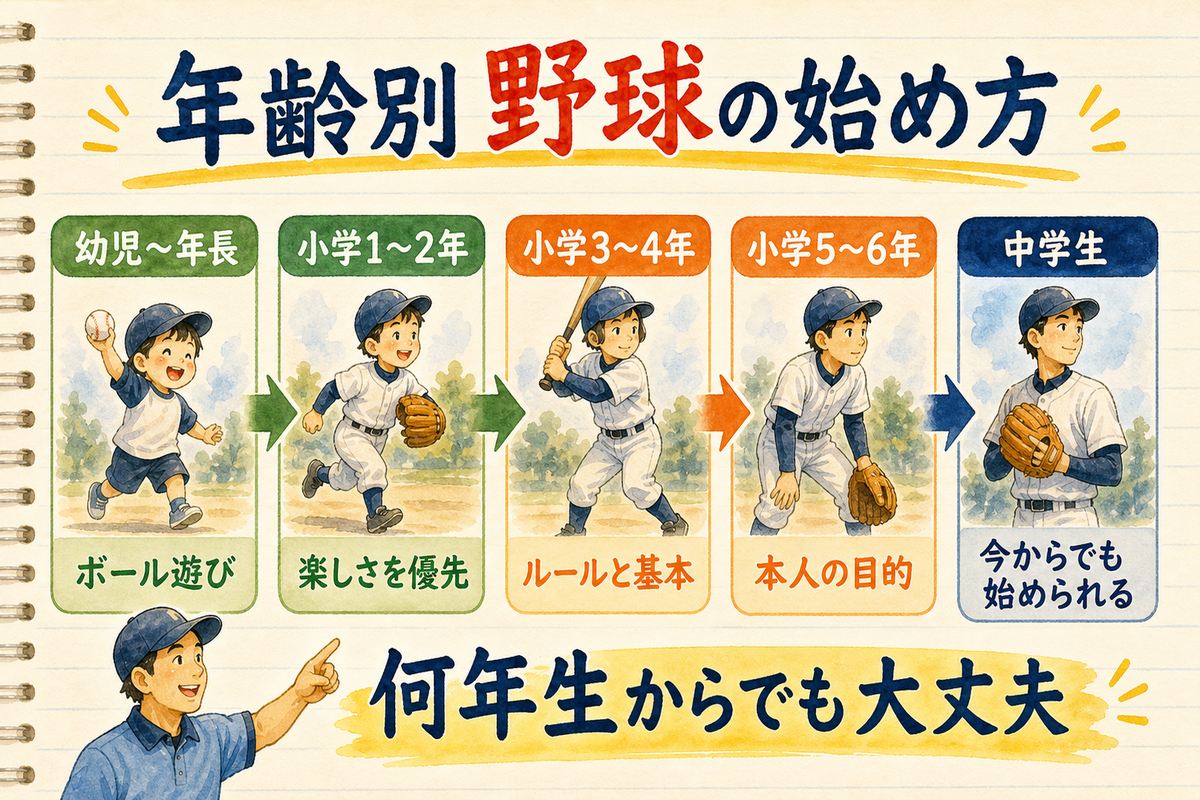 幼児から中学生まで年齢別に野球の始め方を説明する図解