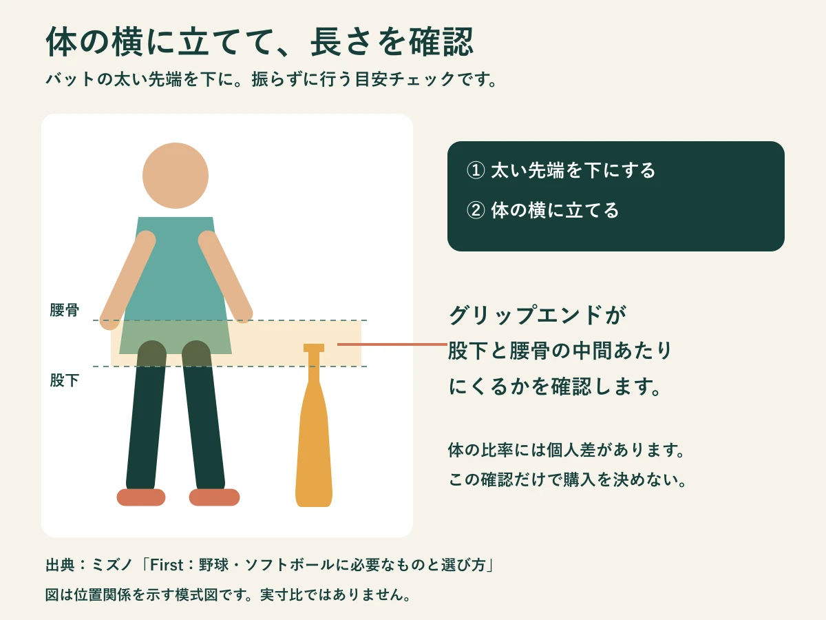 太い先端を下にしてバットを体の横へ立て、グリップエンドが股下と腰骨の中間あたりにくるか確認する模式図