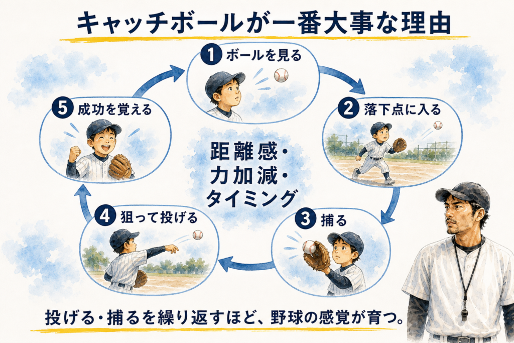 キャッチボールで低学年の野球感覚が育つ5段階の図解