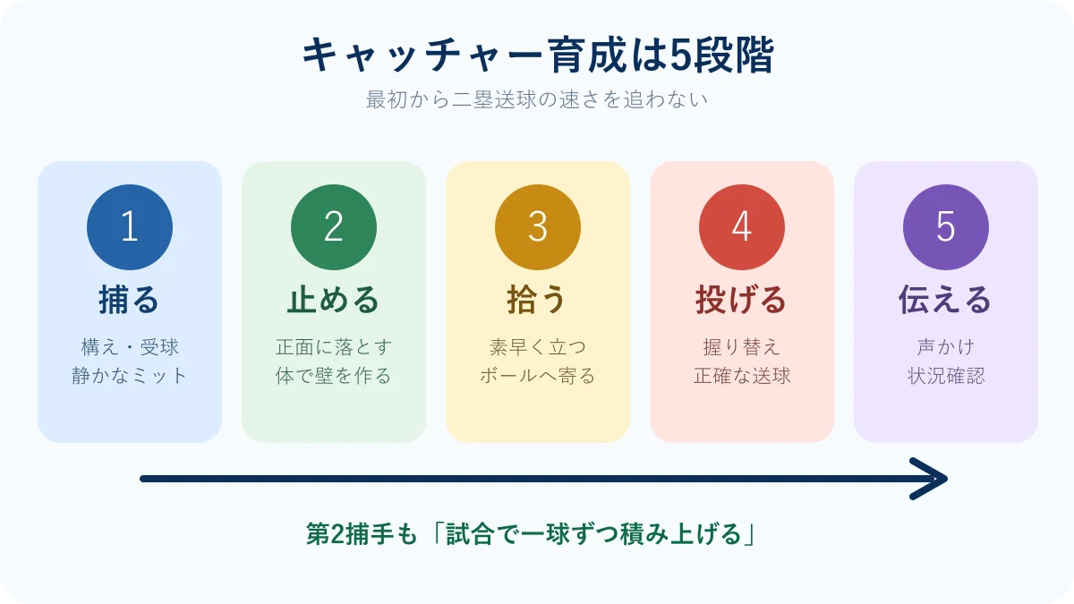 少年野球キャッチャー育成の捕る・止める・拾う・投げる・伝える5段階図解